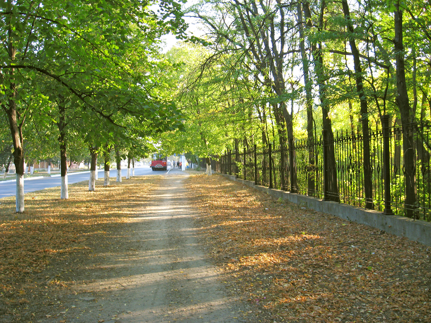 вдоль дендропарка